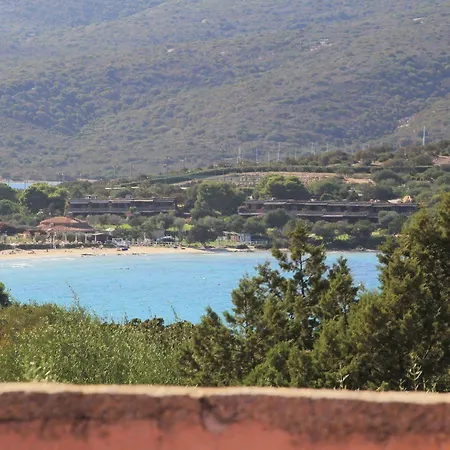 Bouganville 3*